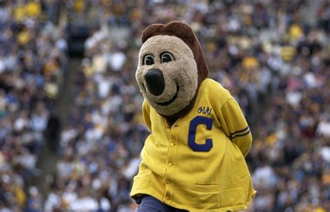 From Mascot to Mat: A Collection of Mascots Losing Their Balance